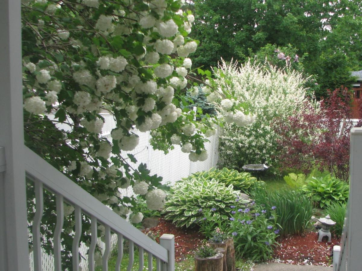 Magnolia B&B Granby Exteriér fotografie